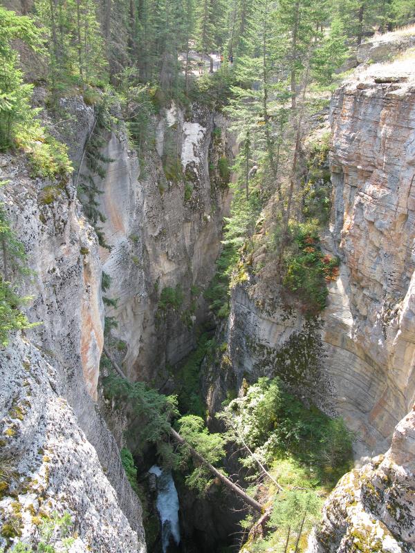 IMG_0735.jpg