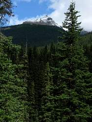 IMG_1108.jpg
