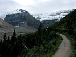IMG_1312.jpg