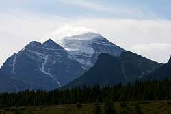 IMG_3503.jpg