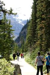 IMG_3536.jpg