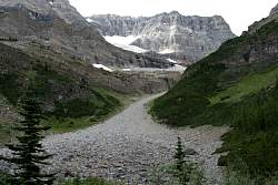 IMG_3593.jpg