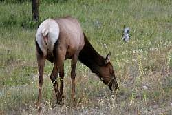 IMG_3362.jpg