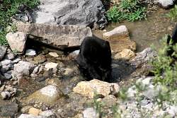 IMG_3396.jpg