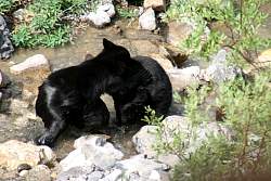 IMG_3397.jpg