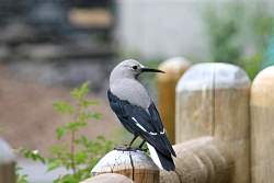 IMG_3525.jpg