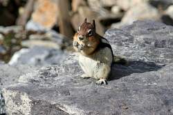 IMG_3580.jpg