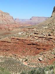 IMG_8247.jpg