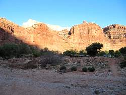 IMG_8301.jpg