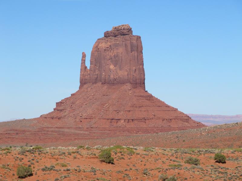 IMG_8682.jpg