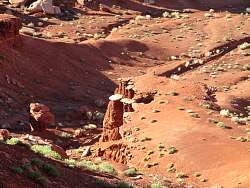 IMG_8764.jpg