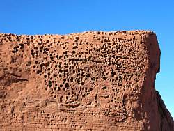 IMG_8884.jpg