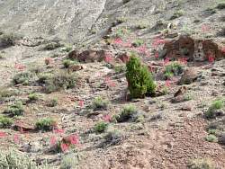 IMG_8900.jpg