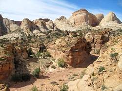 IMG_8910.jpg