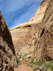 IMG_8920.jpg