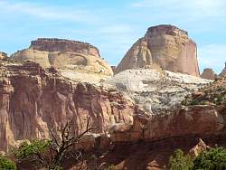 IMG_8940.jpg