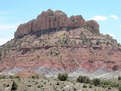 IMG_8961.jpg