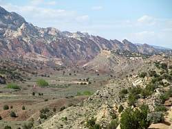 IMG_8978.jpg