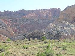 IMG_9019.jpg