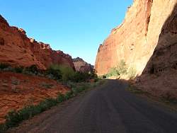 IMG_9030.jpg