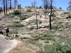 DSCF2426.jpg