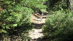 Image11.jpg