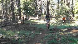 Image53.jpg