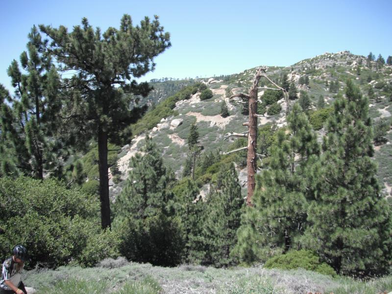 DSCF2354.jpg