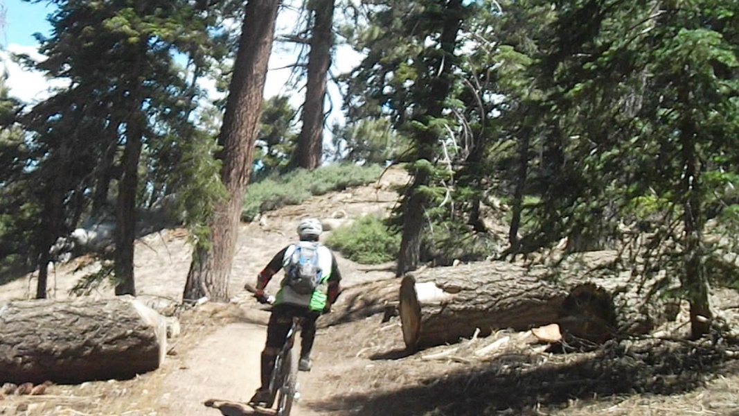 Image21.jpg