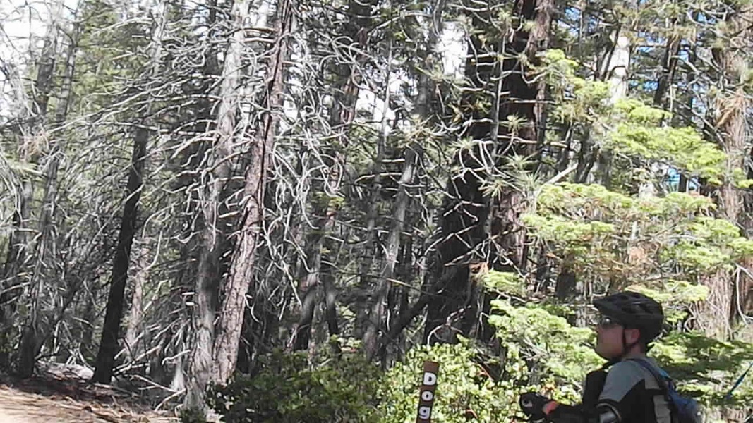Image3.jpg