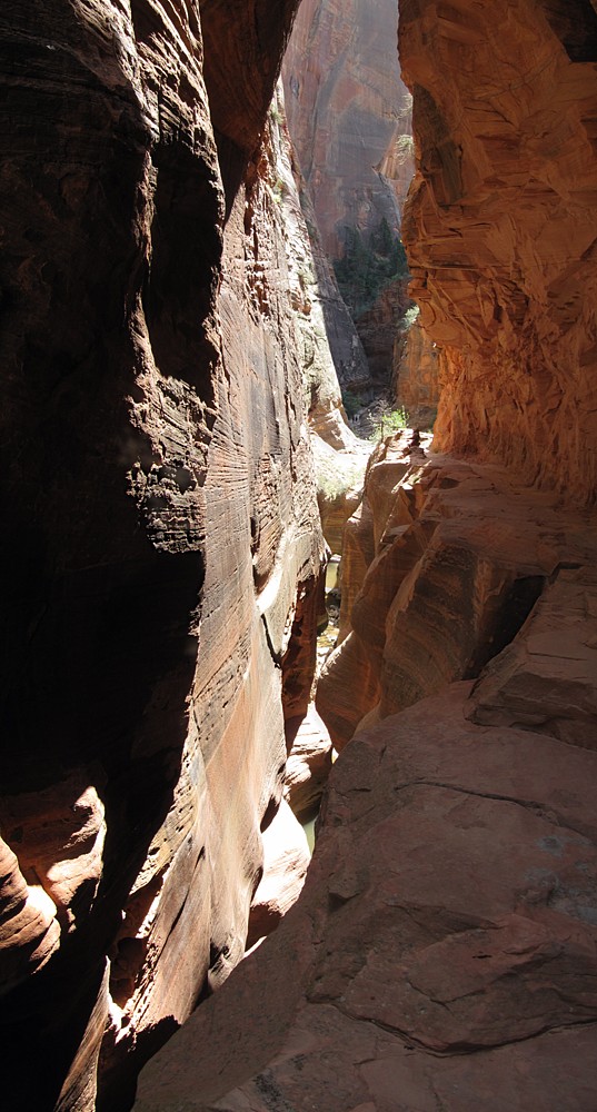 Observation Pt Slot Canyon.jpg