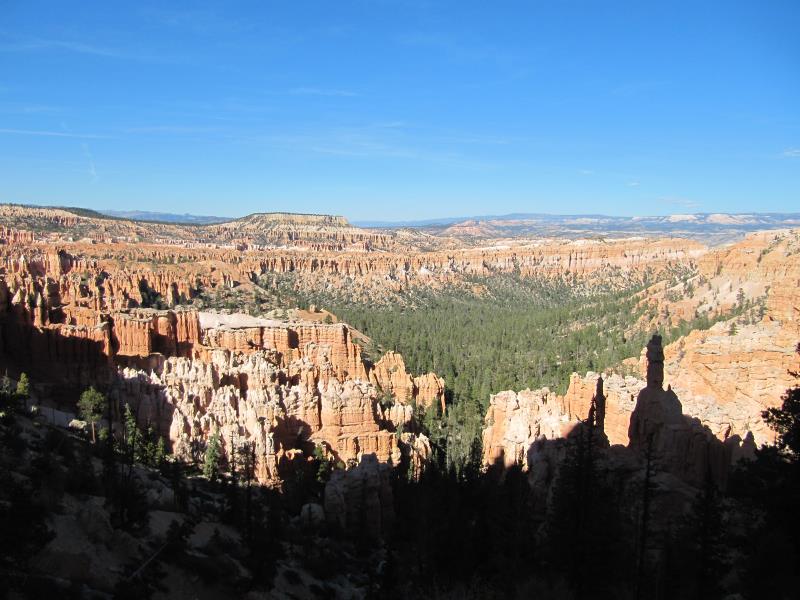 IMG_7648.jpg