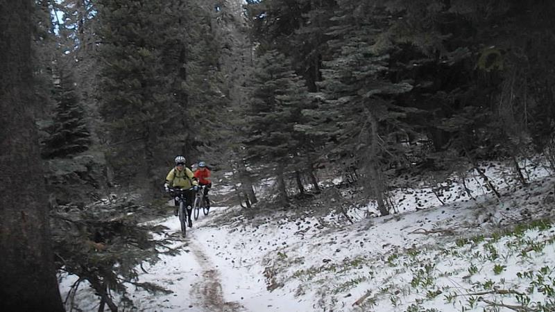 Image7.jpg