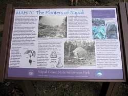 IMG_2119.jpg