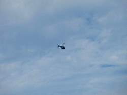IMG_2135.jpg