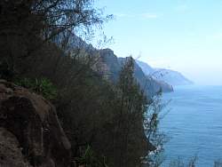 IMG_2145.jpg