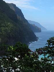 IMG_2195.jpg