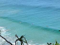 IMG_2198.jpg