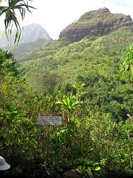 IMG_2205.jpg