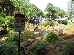 IMG_2207.jpg