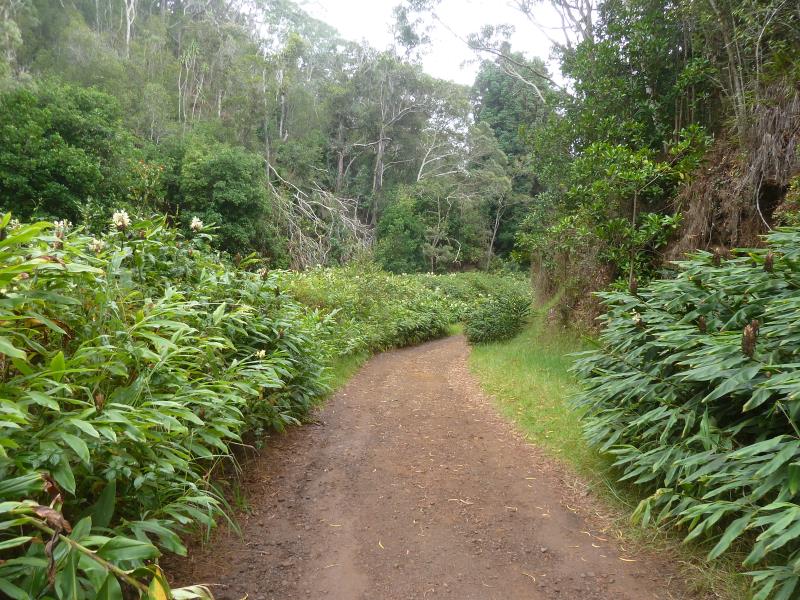 P1180678.jpg