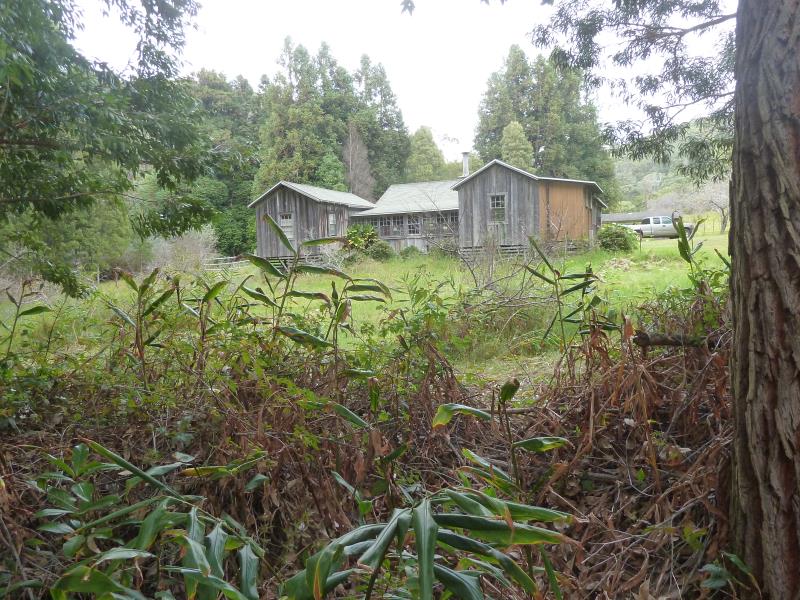 P1180836.jpg