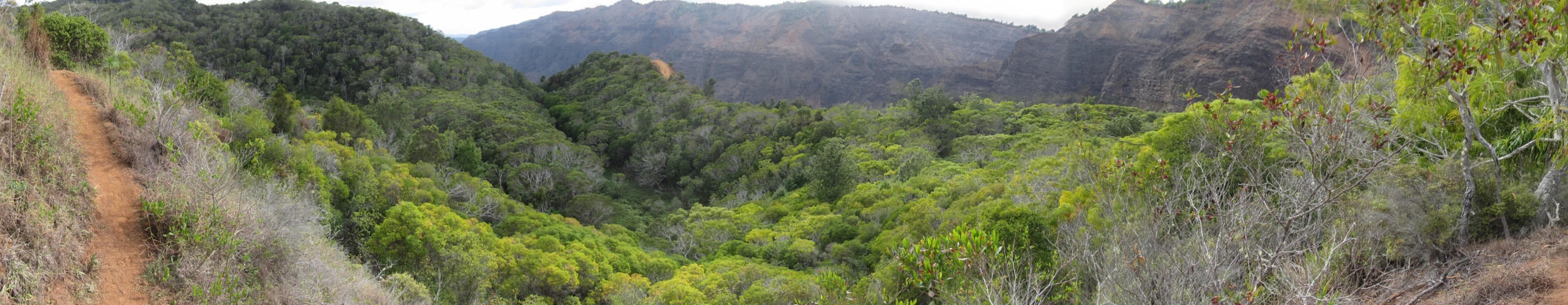 STA_2517pan.jpg