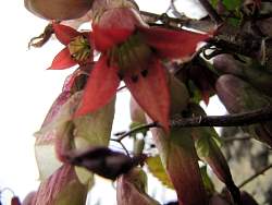 IMG_2503.jpg