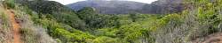 STA_2517pan.jpg