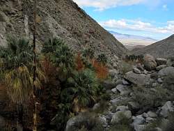IMG_2701.jpg