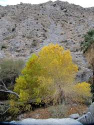 IMG_2726.jpg