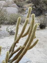 IMG_2727.jpg
