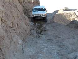 IMG_2879.jpg