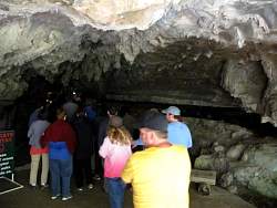 IMG_4728.jpg